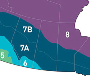 Compliance Map